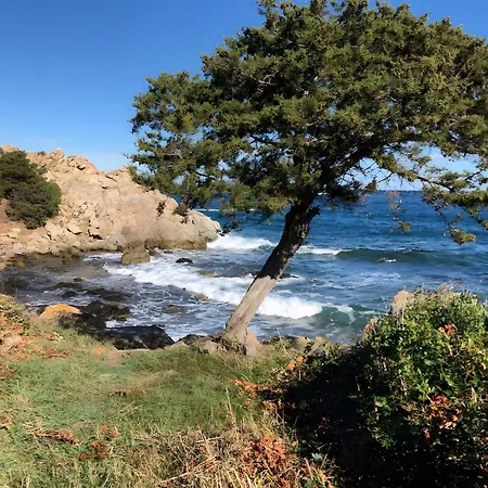 Lägenhet Agata Con Terrazza E Giardino Porto Ottiolu